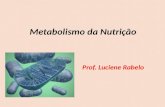 Metabolismo da Nutrição Prof. Luciene Rabelo. Relembrando conceitos...