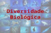 Diversidade Biológica. Variabilidade de organismos vivos de todas as origens compreendendo, dentre outros, os ecossistemas terrestres, marinhos e demais.