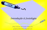 Introdução à Sociologia Prof. Edson Fernando Meirelles professormeirelles@gmail.com.