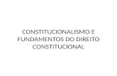 CONSTITUCIONALISMO E FUNDAMENTOS DO DIREITO CONSTITUCIONAL.