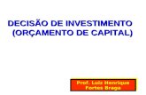 DECISÃO DE INVESTIMENTO (ORÇAMENTO DE CAPITAL) Prof. Luiz Henrique Fortes Braga.