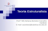 Teoria Estruturalista Prof.ª MS Adriana Bortolon Carvalho Cardoso E-mail: acardoso@catolica-es.edu.br.