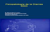 Fisio Pa to Diarrea 2004