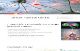 SISTEMA NERVIOSO CENTRAL.pdf
