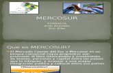 MERCOSUR - Ponencia