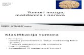 Patology Tumori Mozga, Moždanica i Nerava