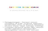 Sistim Sensorik & Autonom.pptx