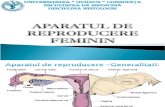 LP8.Aparatul genital feminin - ovarul.ppt
