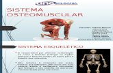 Sistema Osteomuscular Biofísica