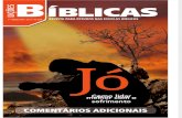 Licoes Bilicas - Jó