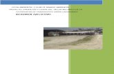 Resumen Ficha Ambiental y Plan de Manejo Ambiental
