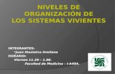 NIVELES DE ORGANIZACIÓN DE.pptx(Juan).pptx