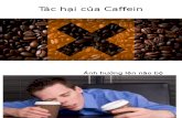 Tác hại của Caffein.pptx