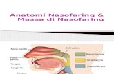Anatomi Nasofaring & Massa Di Nasofaring