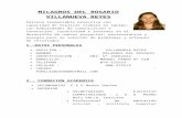 MILAGROS DEL ROSARIO VILLANUEVA REYES.docx