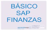 Aprendesap Curso Básico SAP FI
