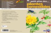 Albouy Vincent - Petit Atlas Des Plantes Comestibles