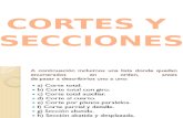 Cortes y Secciones 1
