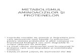 Metabolismul Aminoacizilor Şi Proteinelor (1)