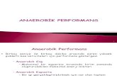 anaerobik performans