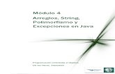 Arreglos String Polimorfismo y Excepciones en Java