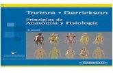 Tortora Gerard-Principios de Anatomia y Fisiologia-11ed