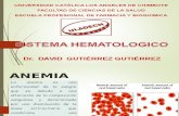 Semiologia Hematologico
