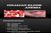 Tinjauan Klinik Anemia (2)