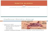 ppt rinitis alergi