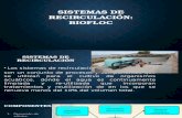 Sistemas de Recirculacion Biofloc