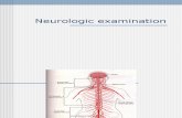 Neurology Examination 2 1