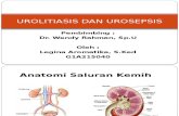 Urolitiasis Dan Urosepsis