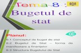 Tema 8. Bugetul de Stat (vio+tabel)