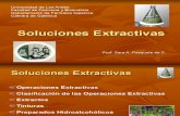 Tema 10 Soluciones Extractivas