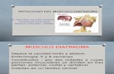 Patologias Del Musculo Diafragma