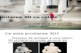 Printarea 3D Cu Celule