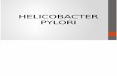 HELICOBACTER PYLORI.pptx