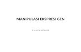 MANIPULASI EKSPRESI GEN 2015.pdf