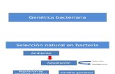 Genetica Bacteriana y Patogénesis 2016