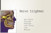 1- Nervo Trigêmeo