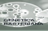 Clase 11. Genetica Bacteriana