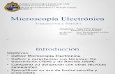 Microscopía Electrónica - Electron Microscopy