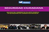 Informe Anual seguridad Ciudadna Ollanta PDF