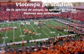 Violența Pe Stadion