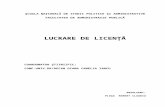 Licenta Administratie Europeana