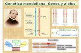 5. Genetica Mendeliana. Las Leyes de La Herencia