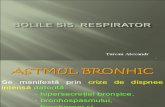 Bolile a Sis Respirator