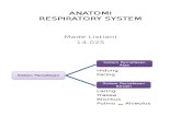 Anatomi Respiratory
