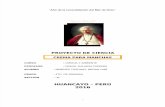 Proyecto Cremas para manchas San Pio x.docx
