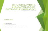 07 Hematology